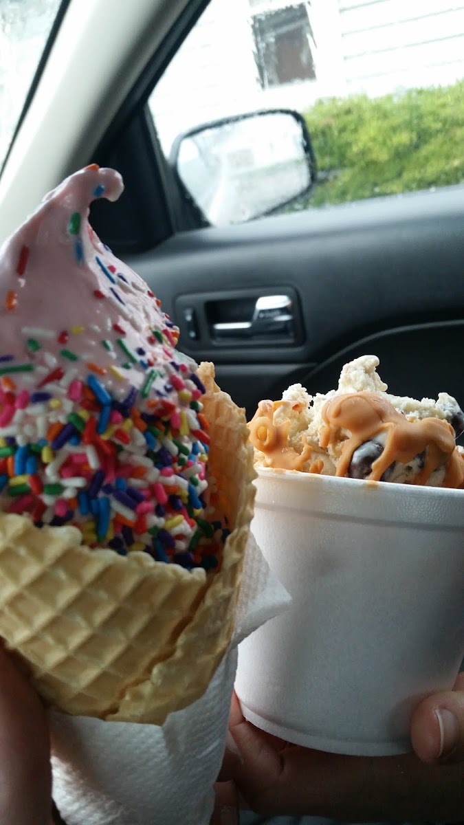 Toad's Too Ice Cream Oasis Photo 5