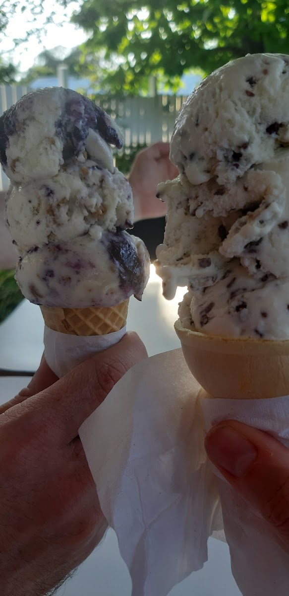 Toad's Too Ice Cream Oasis Photo 6