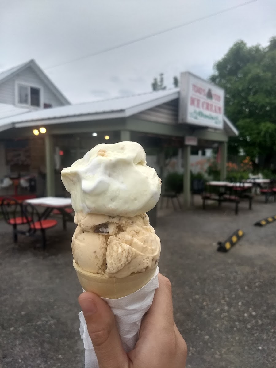 Toad's Too Ice Cream Oasis Photo 7