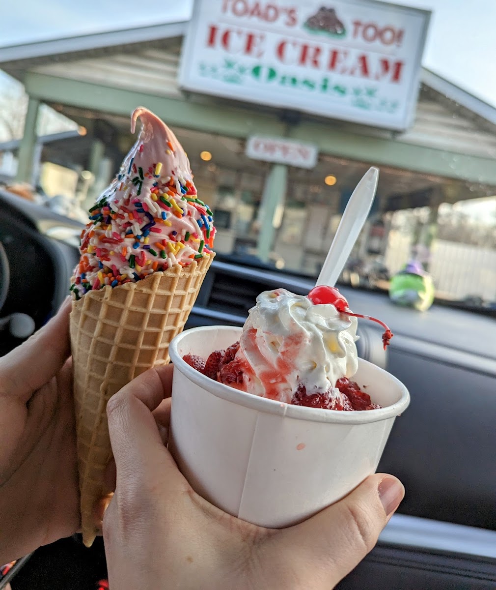 Toad's Too Ice Cream Oasis Photo 8