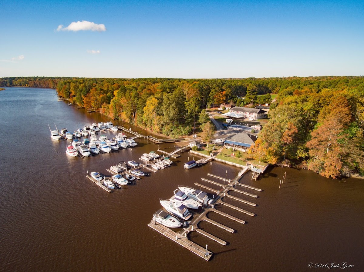 The Blue Heron Bar & Grill Photo 3