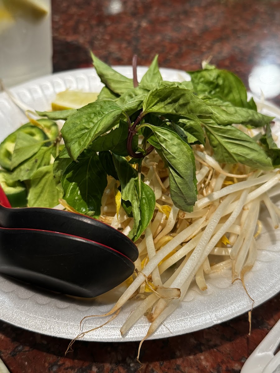 Pho 16 Express Photo 8