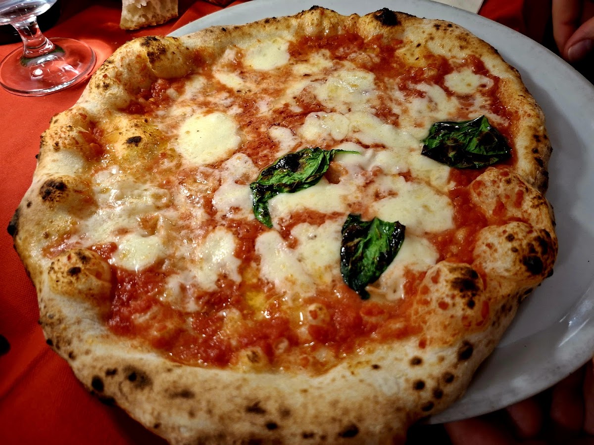 Vittoria Ristorante Pizzeria Photo 2