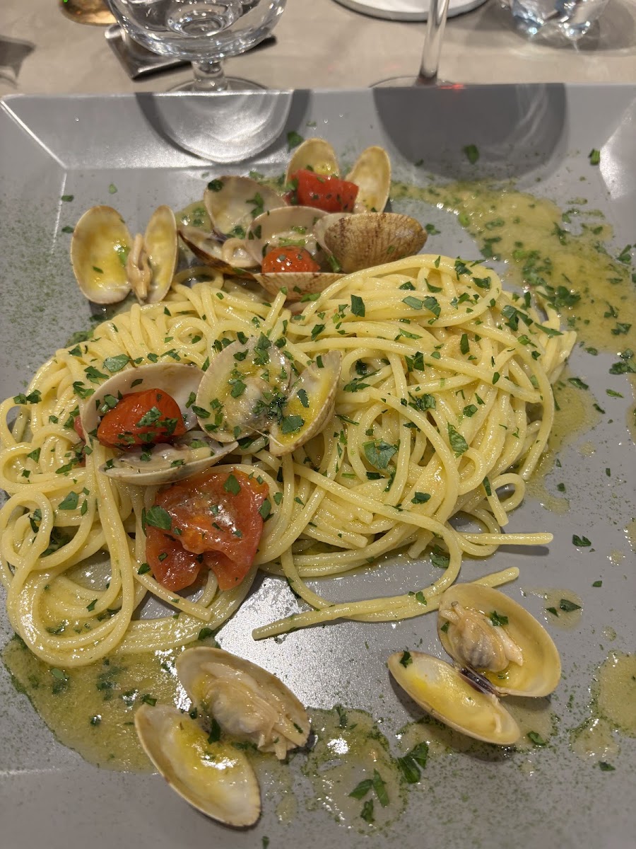 Vittoria Ristorante Pizzeria Photo 4