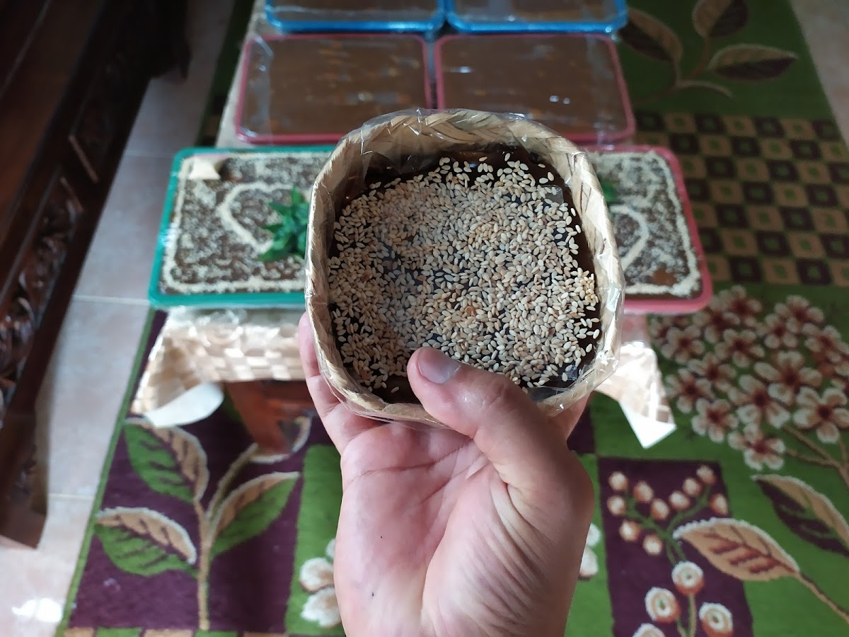 Haji Tohir Jamu