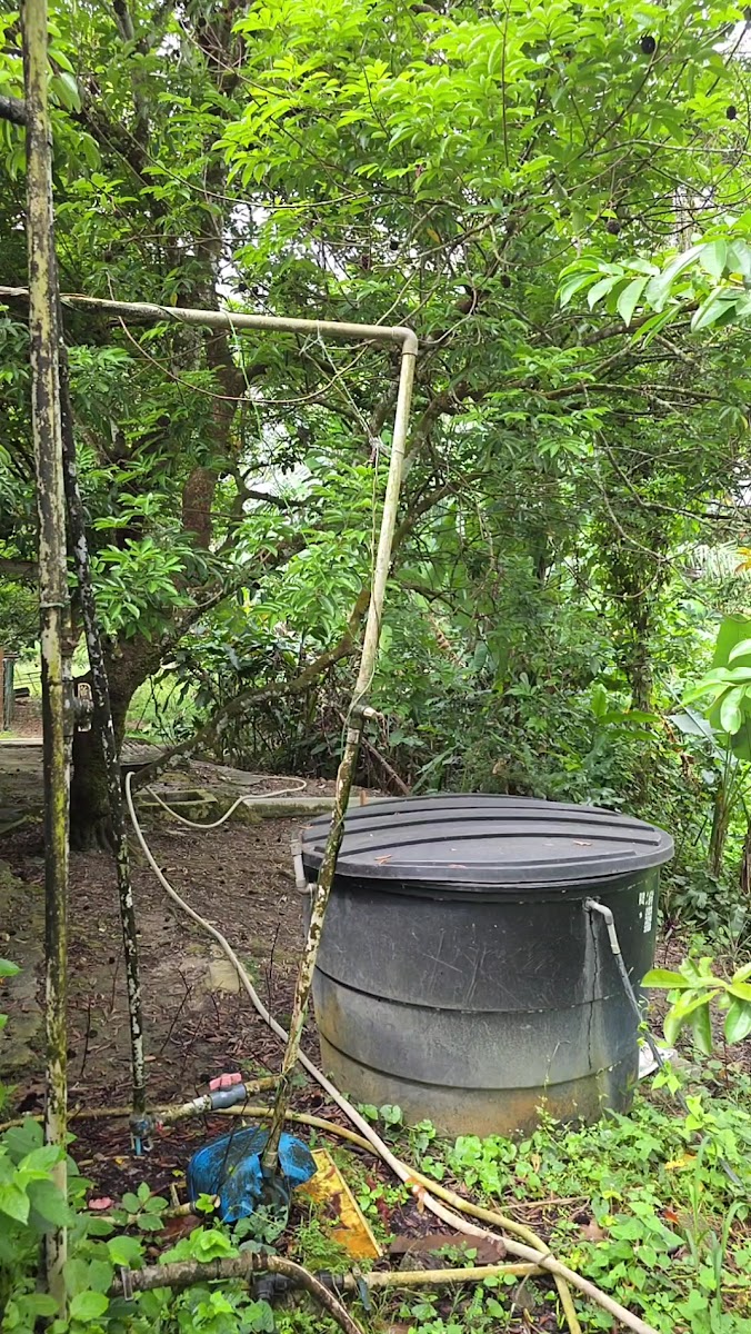Kedai Makan Pokok Jati 柚木园烧鱼 Photo 2
