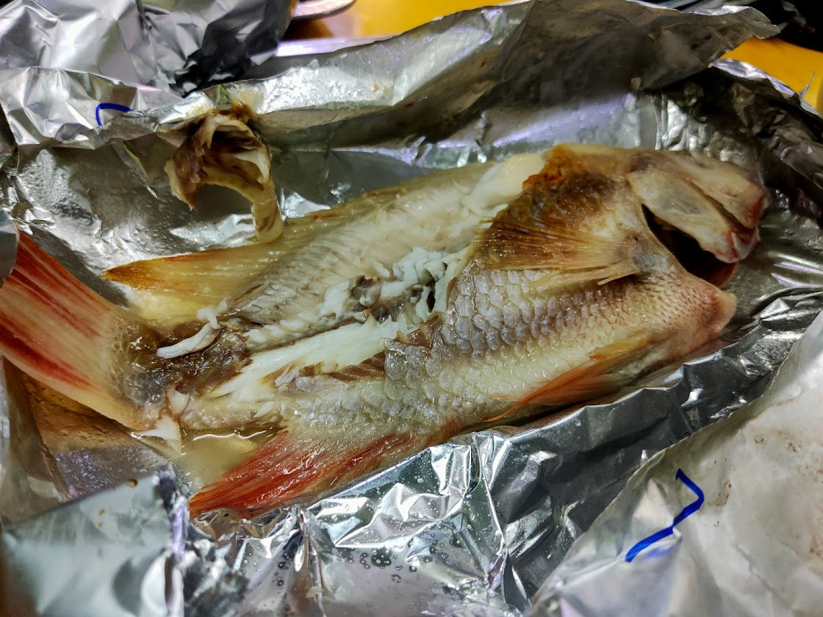 Kedai Makan Pokok Jati 柚木园烧鱼 Photo 6