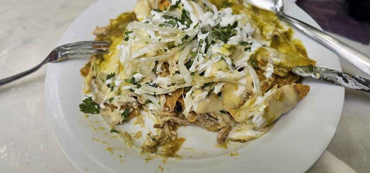 Eleganzza Restaurant Photo 7