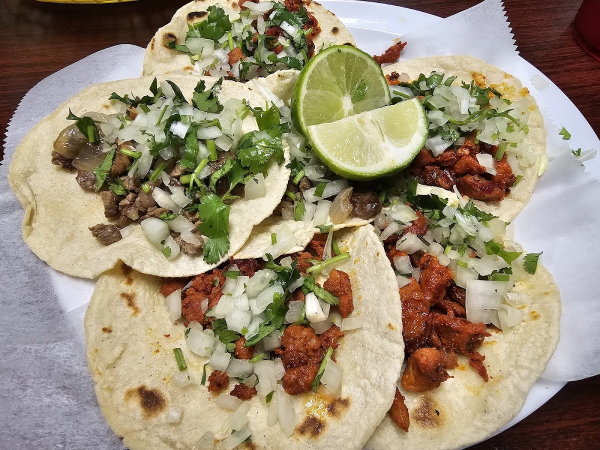 The Jalapeno Mexican Fast Food And Grill Photo 2