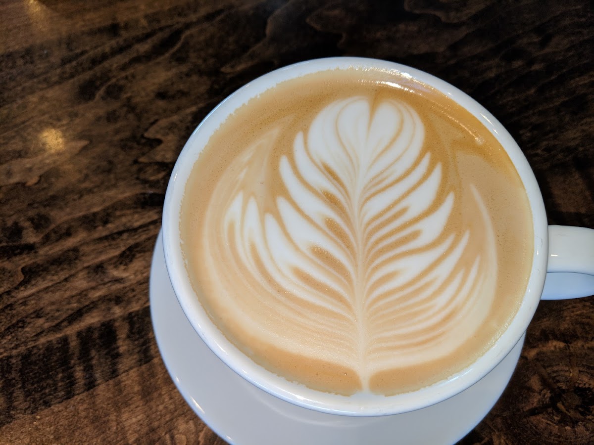 WildRoots Coffeehouse Photo 5