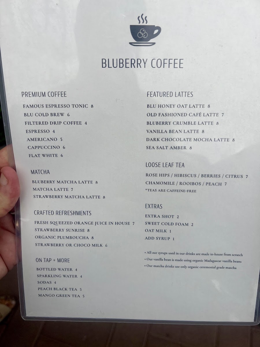 Bluberry Social Photo Menu 1