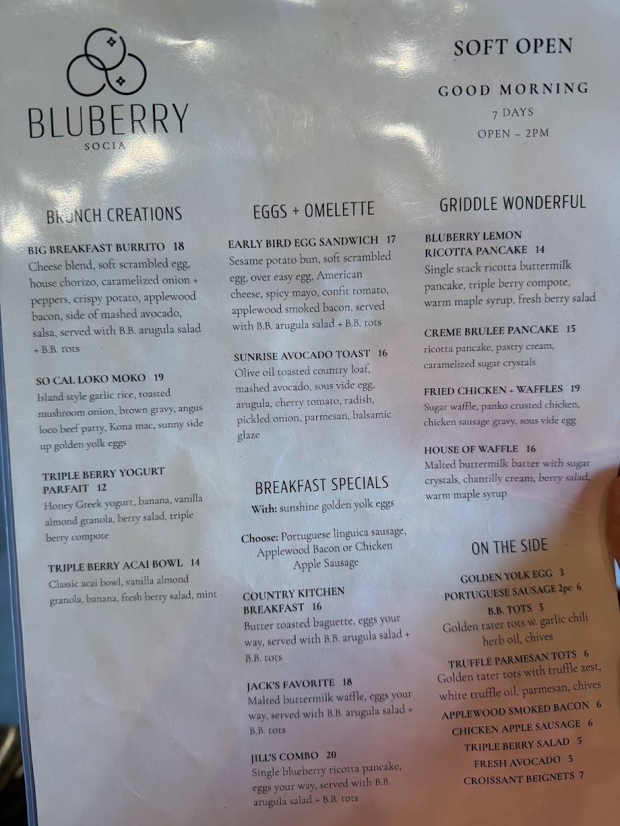 Bluberry Social Photo Menu 3