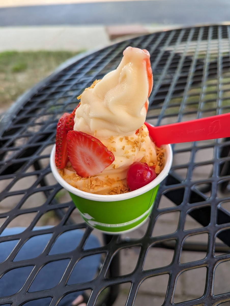 Froyo & So Photo 10