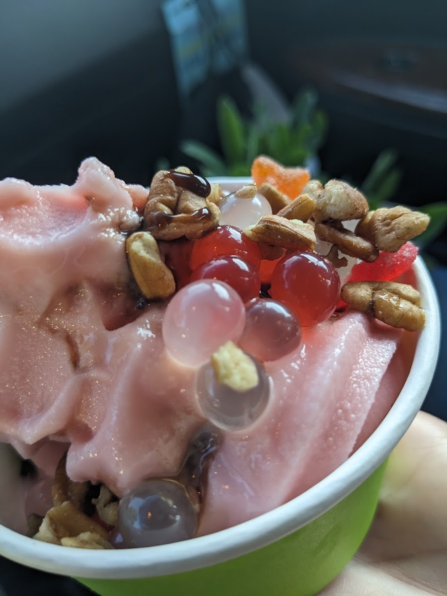 Froyo & So Photo 5