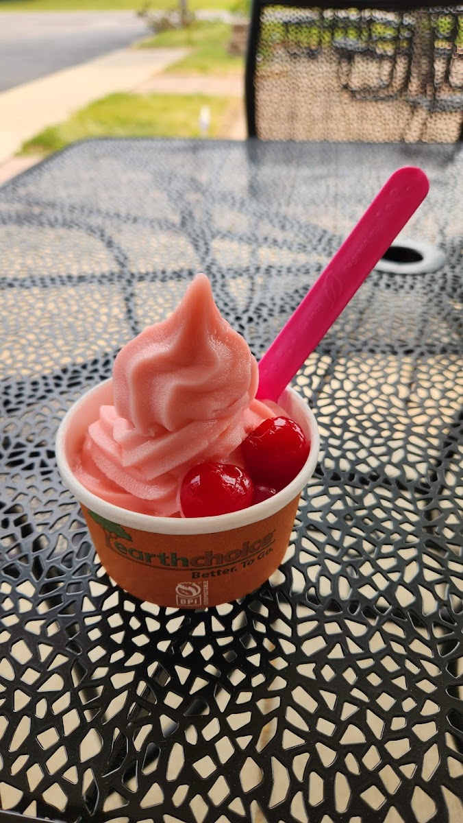 Froyo & So Photo 9