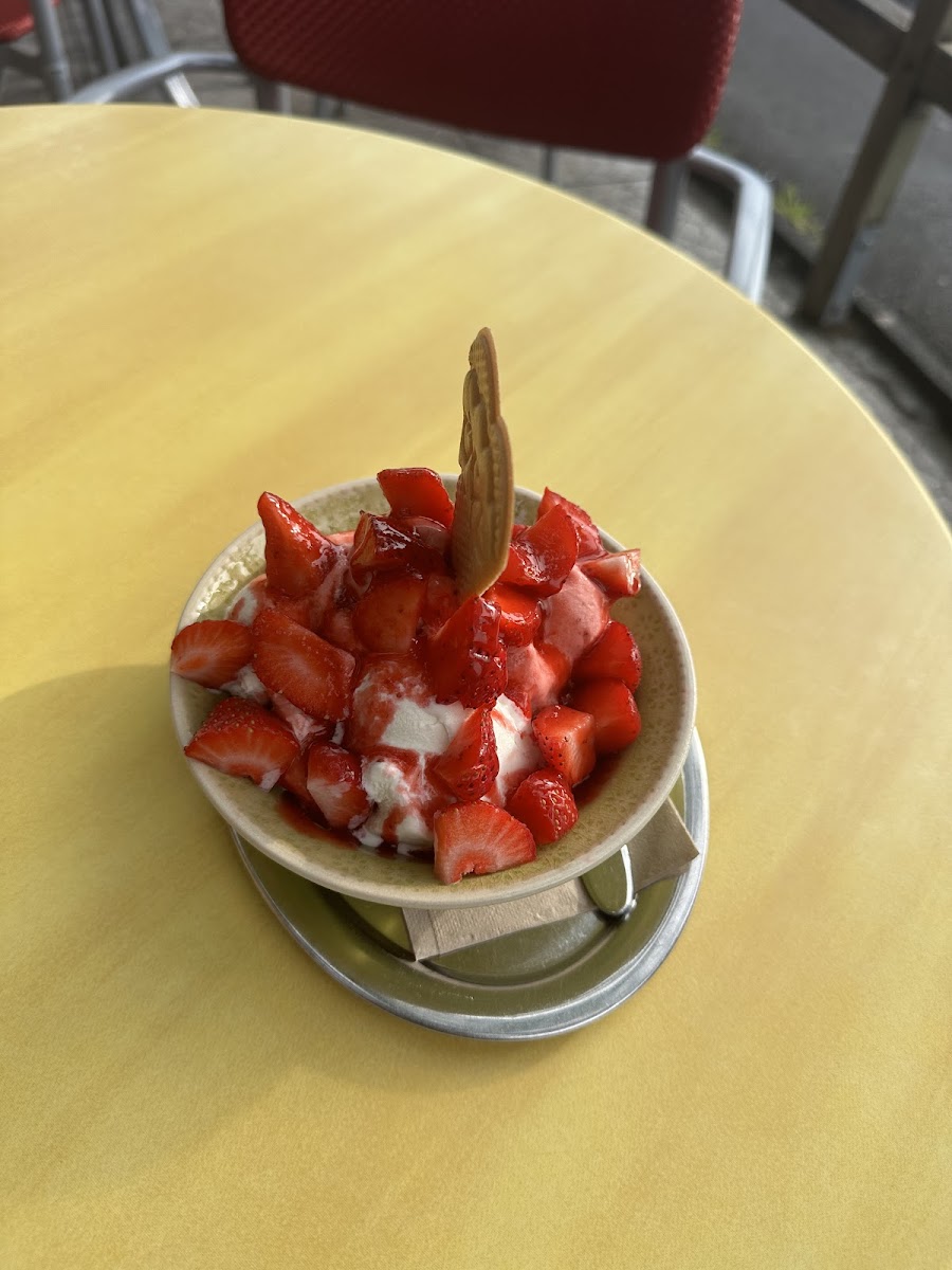 Cellot La Gelateria Photo 8