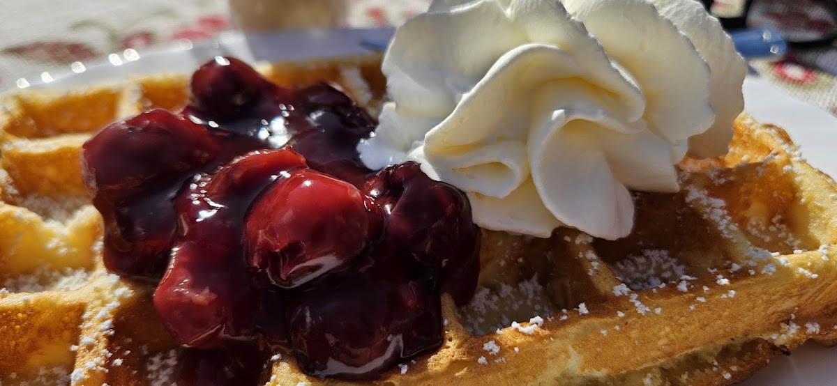 Eis und Imbiss, Meißner-Eis Photo 10