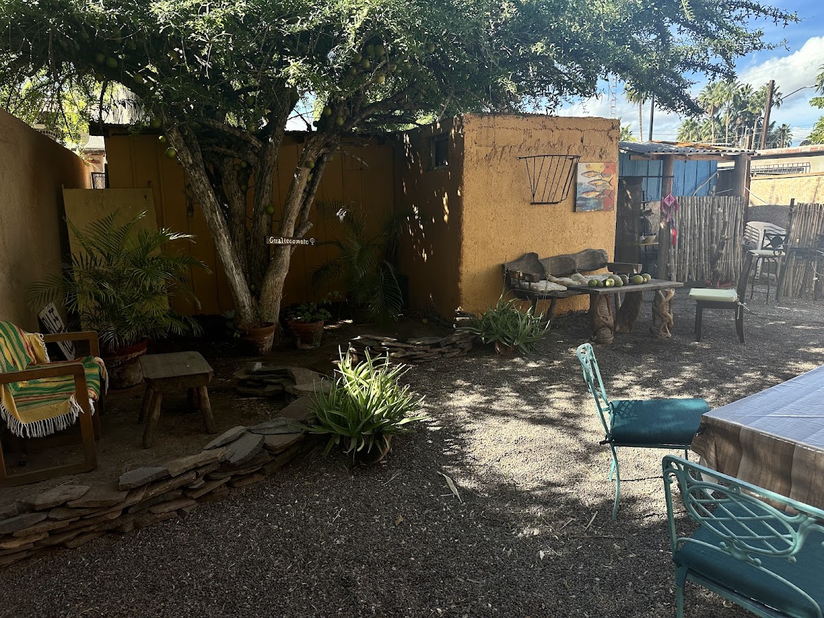 Caballo Blanco Roasters, Art Gallery & Vaquero Museum Photo 2