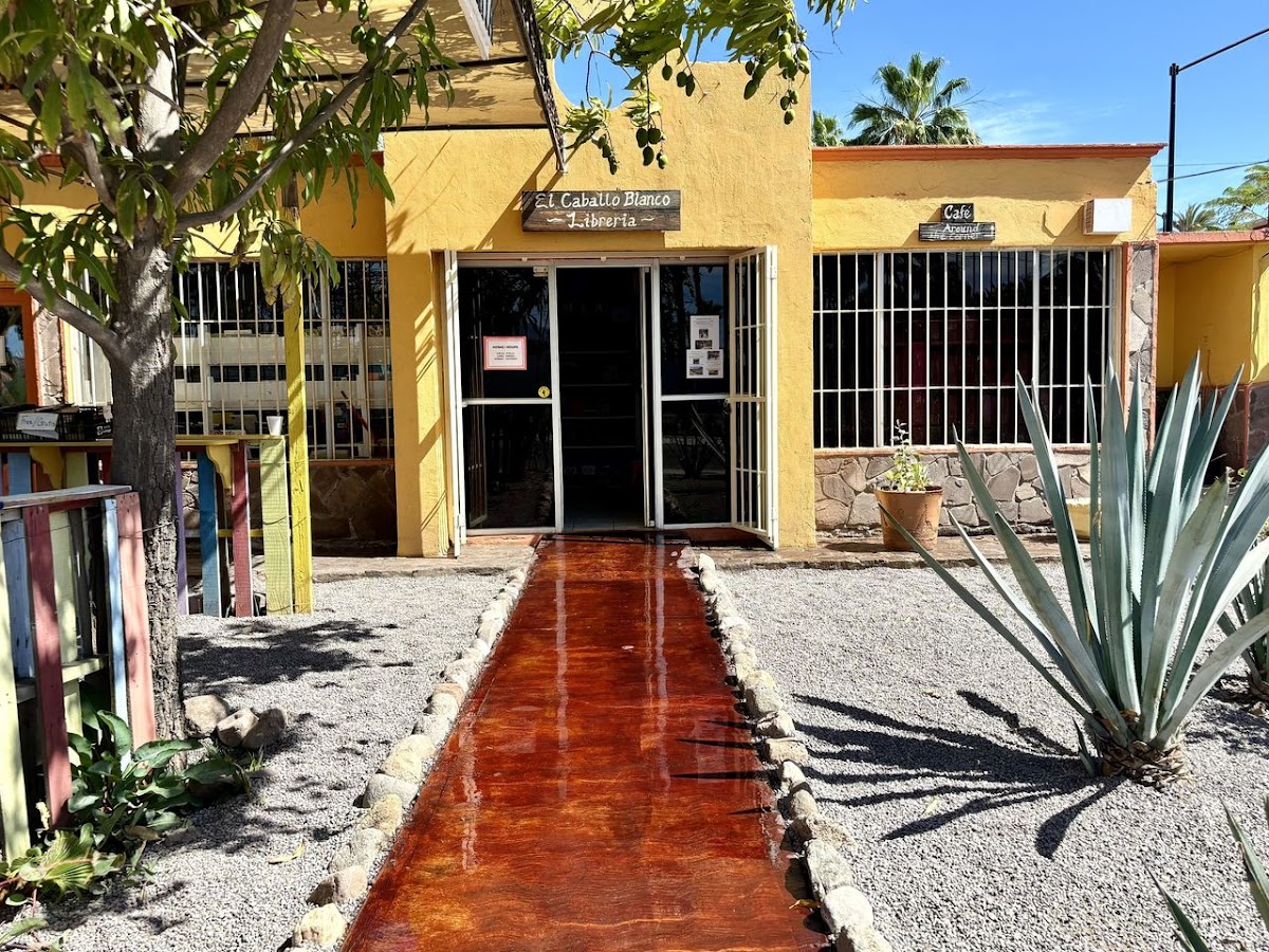 Caballo Blanco Roasters, Art Gallery & Vaquero Museum Photo 4