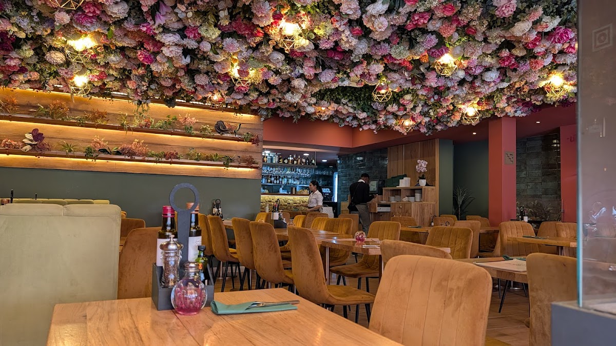 Fiorella - Italian Restaurant Photo 3
