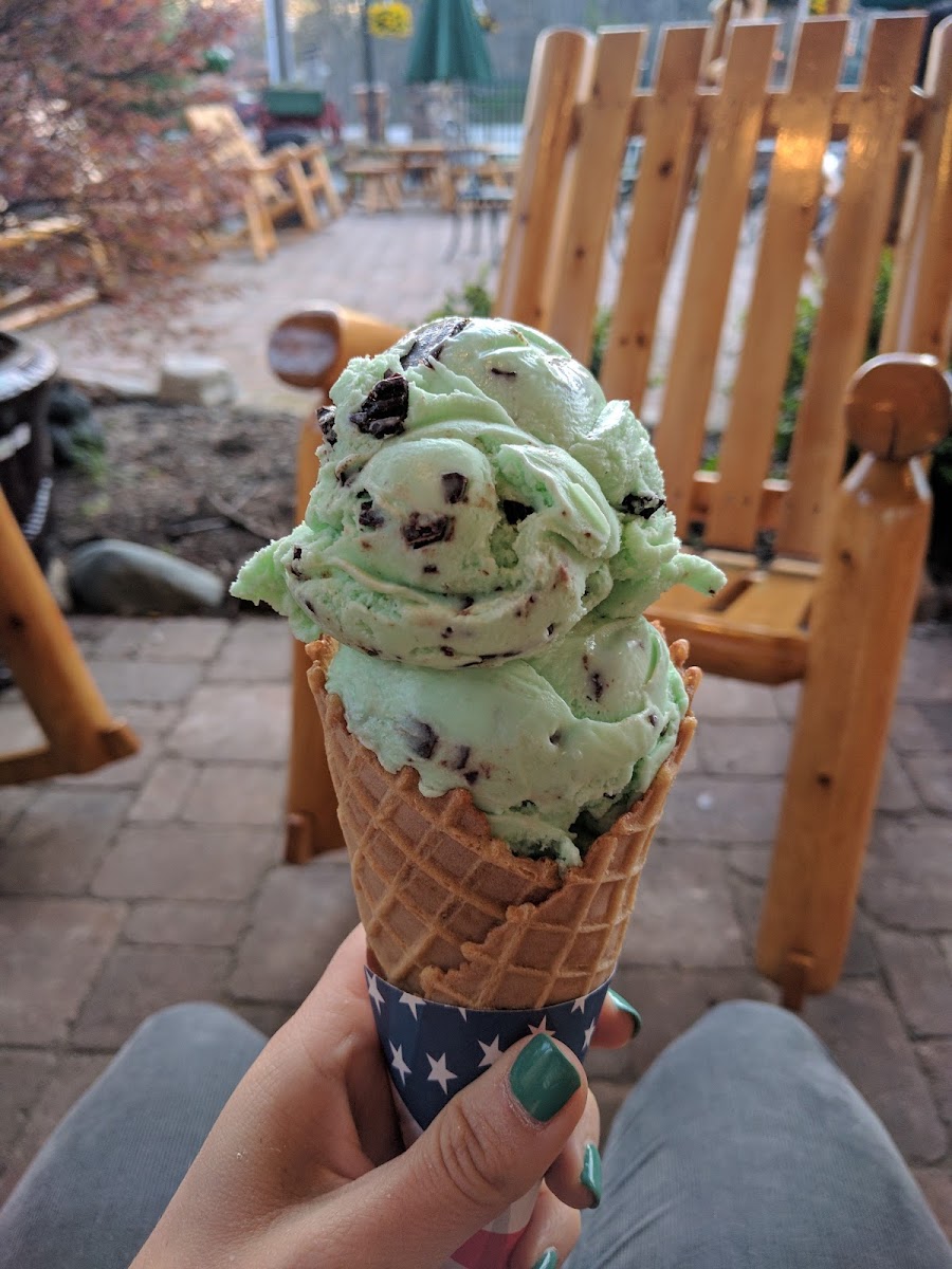 Pinecone Ice Cream Shop Photo 10