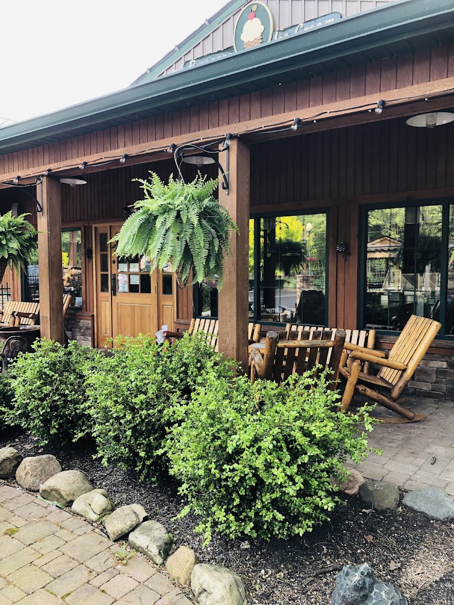 Pinecone Ice Cream Shop Photo 3
