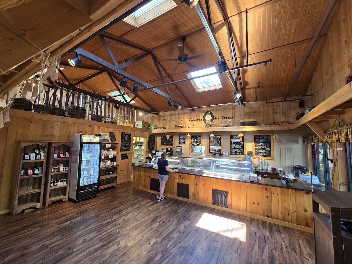 Pinecone Ice Cream Shop Photo 4