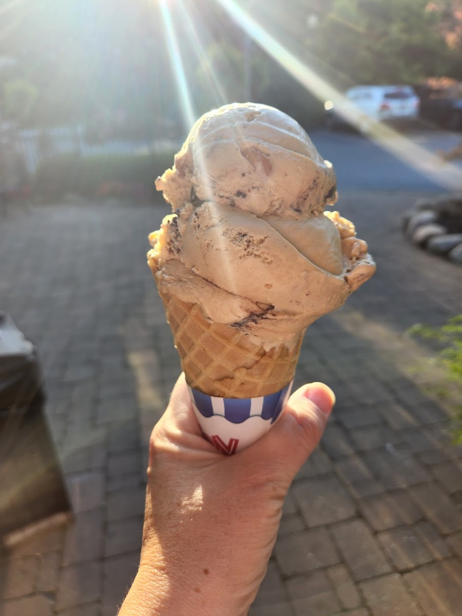 Pinecone Ice Cream Shop Photo 6