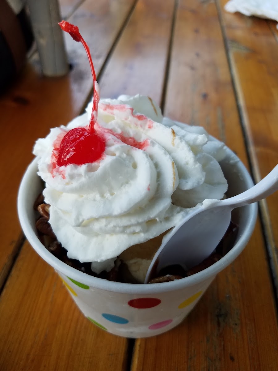 Pinecone Ice Cream Shop Photo 7