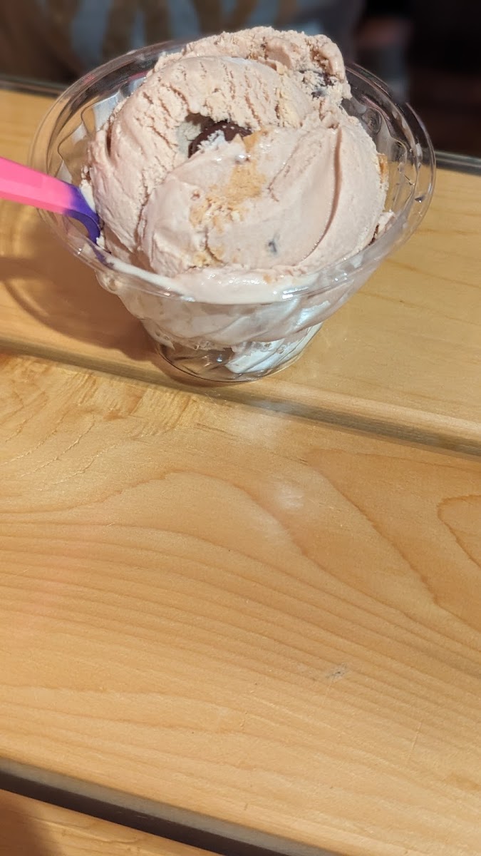 Pinecone Ice Cream Shop Photo 9
