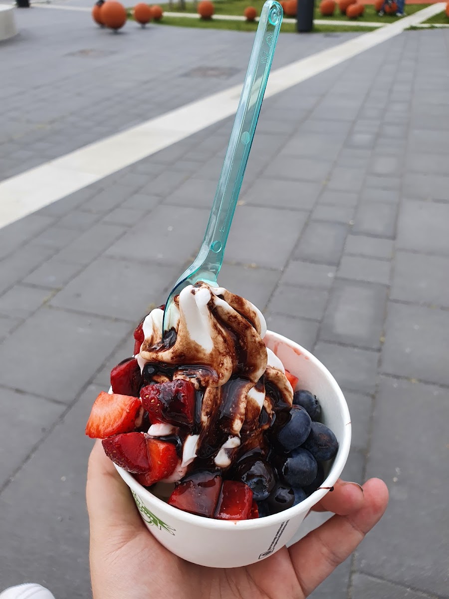 Kaffeebar & Softeisladen-Potsdam Photo 8