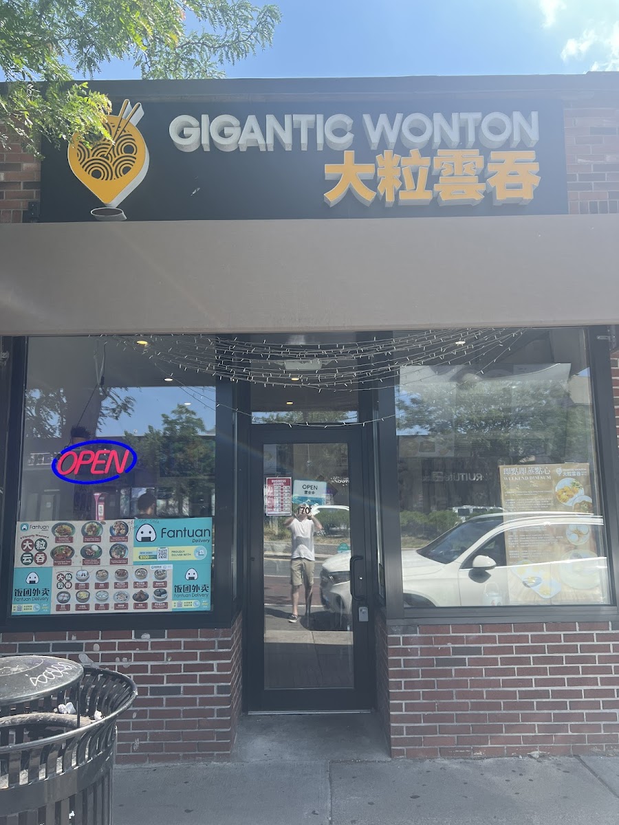 Gigantic Wonton