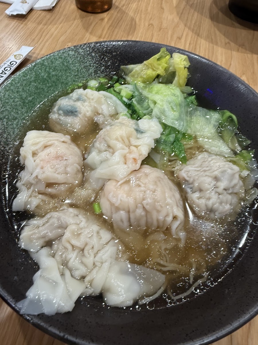 Gigantic Wonton Photo 4