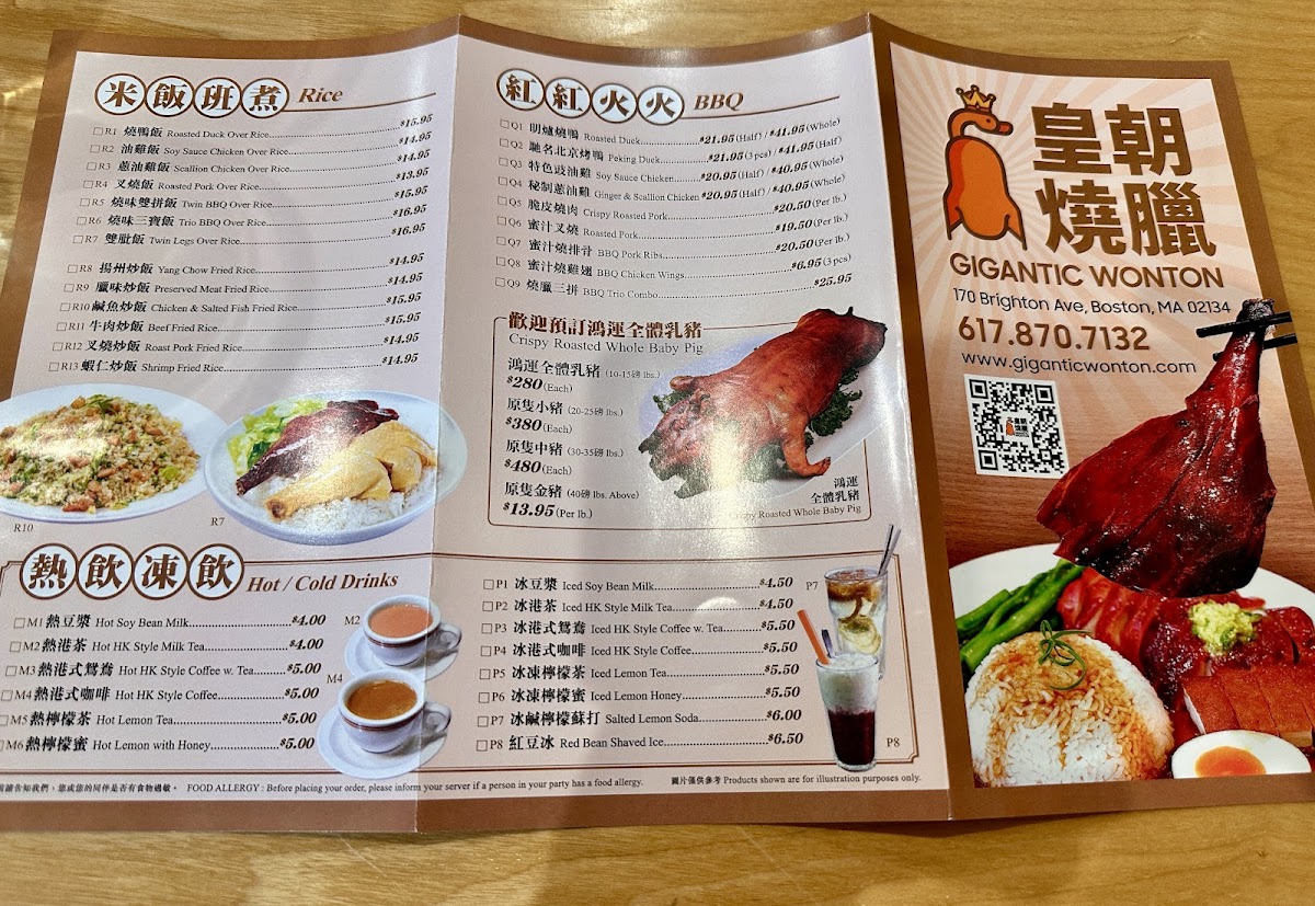 Gigantic Wonton Photo Menu 3