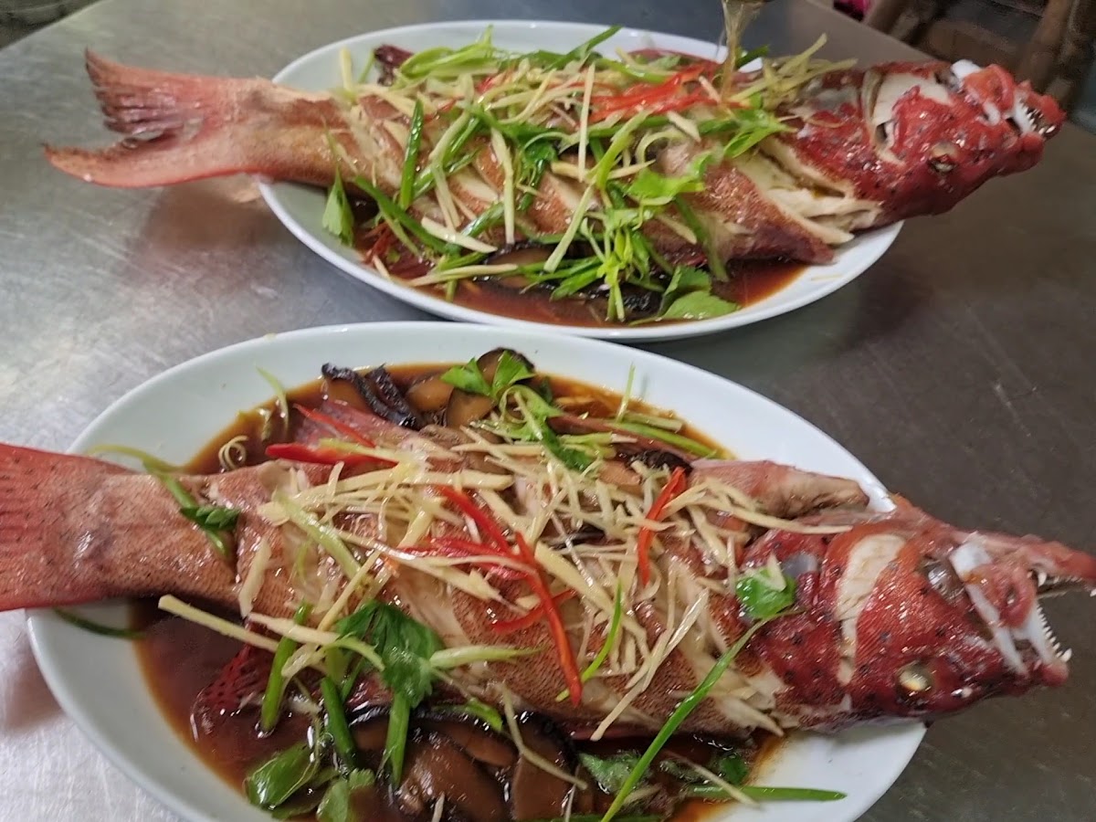 Natural Restaurant​ Photo 2