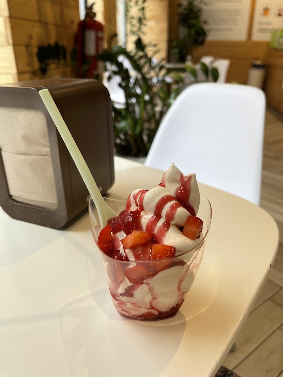 Eccolo Gelato Photo 6