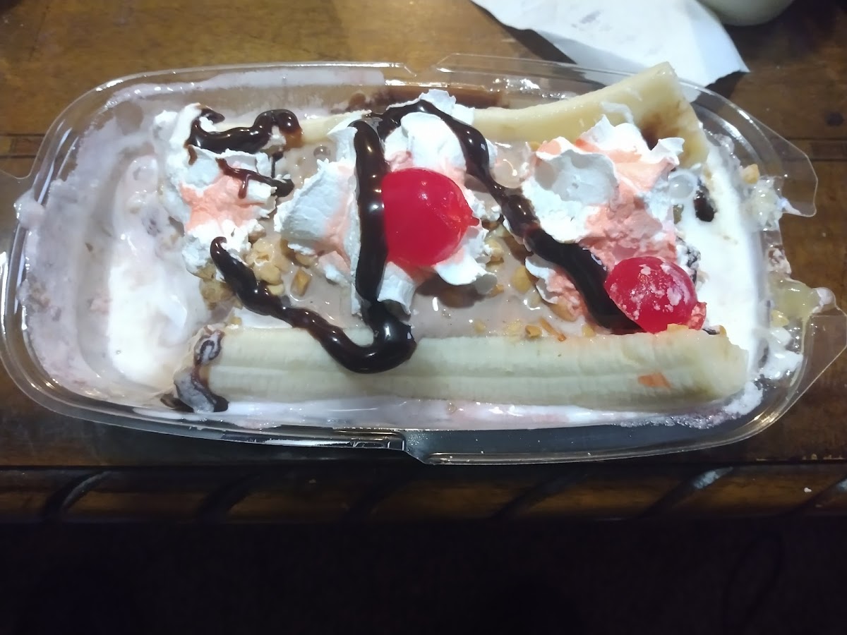 Ice Cream Bowl Photo 5