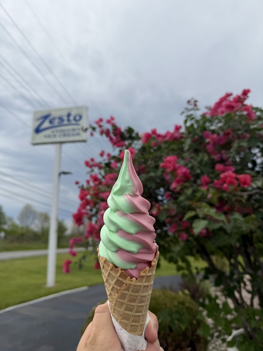 Zesto Ice Cream Angola Photo 5
