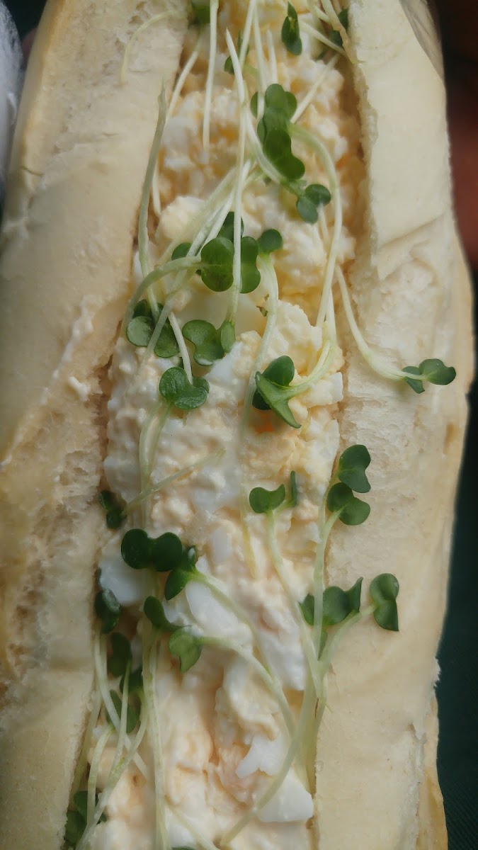 Bakers Baguettes Photo 7