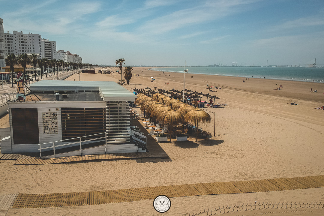 Las Olas Beach Club Photo 4