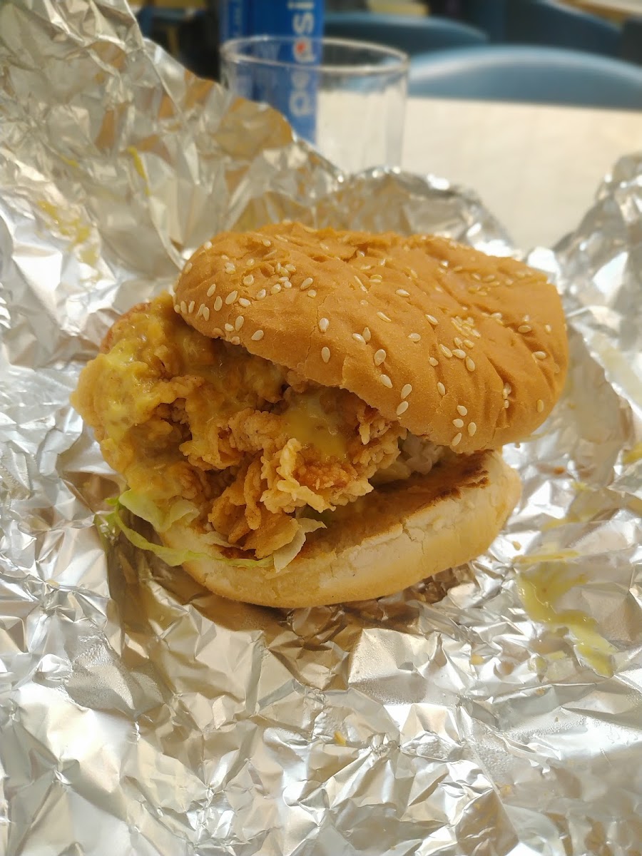 CHICKEN FLY Photo 8