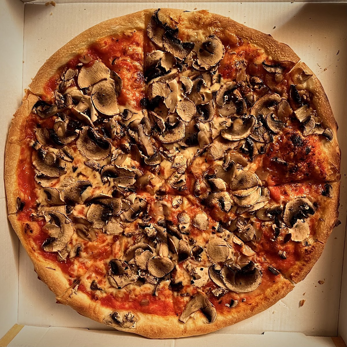 Pizzeria Fortuna Gastro Photo 10