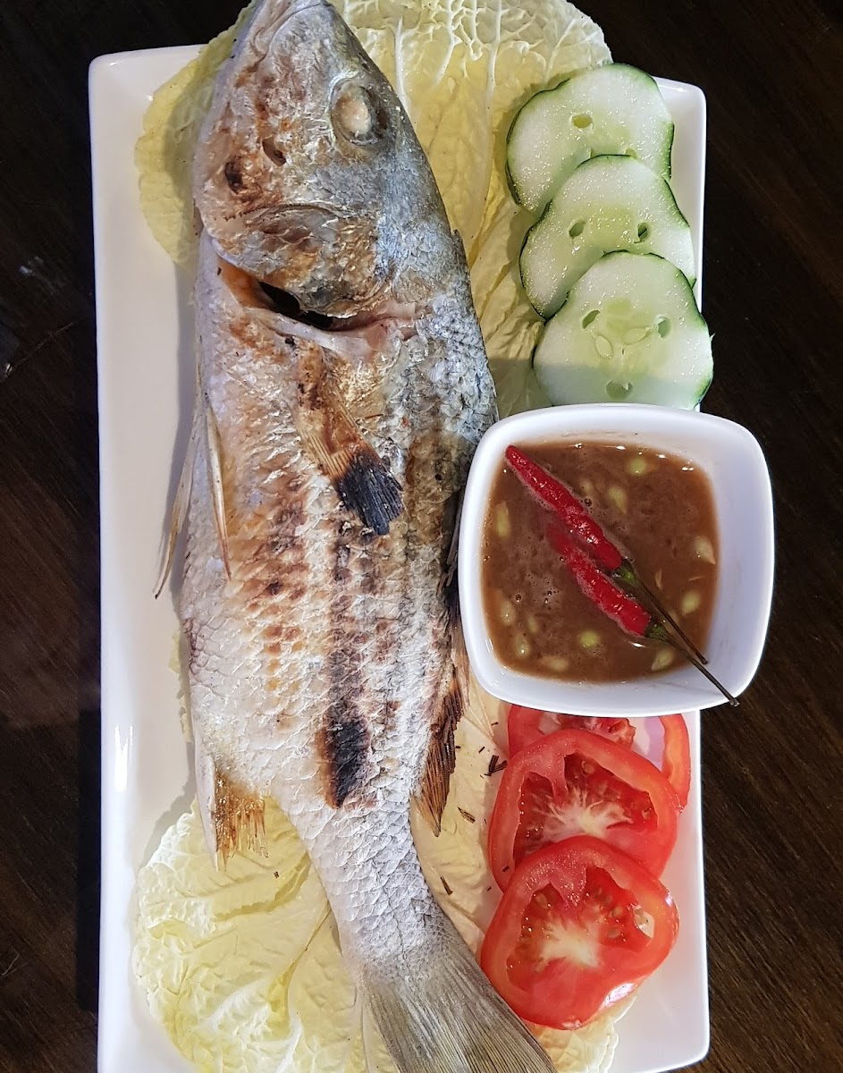 Platera Restaurant Photo 3
