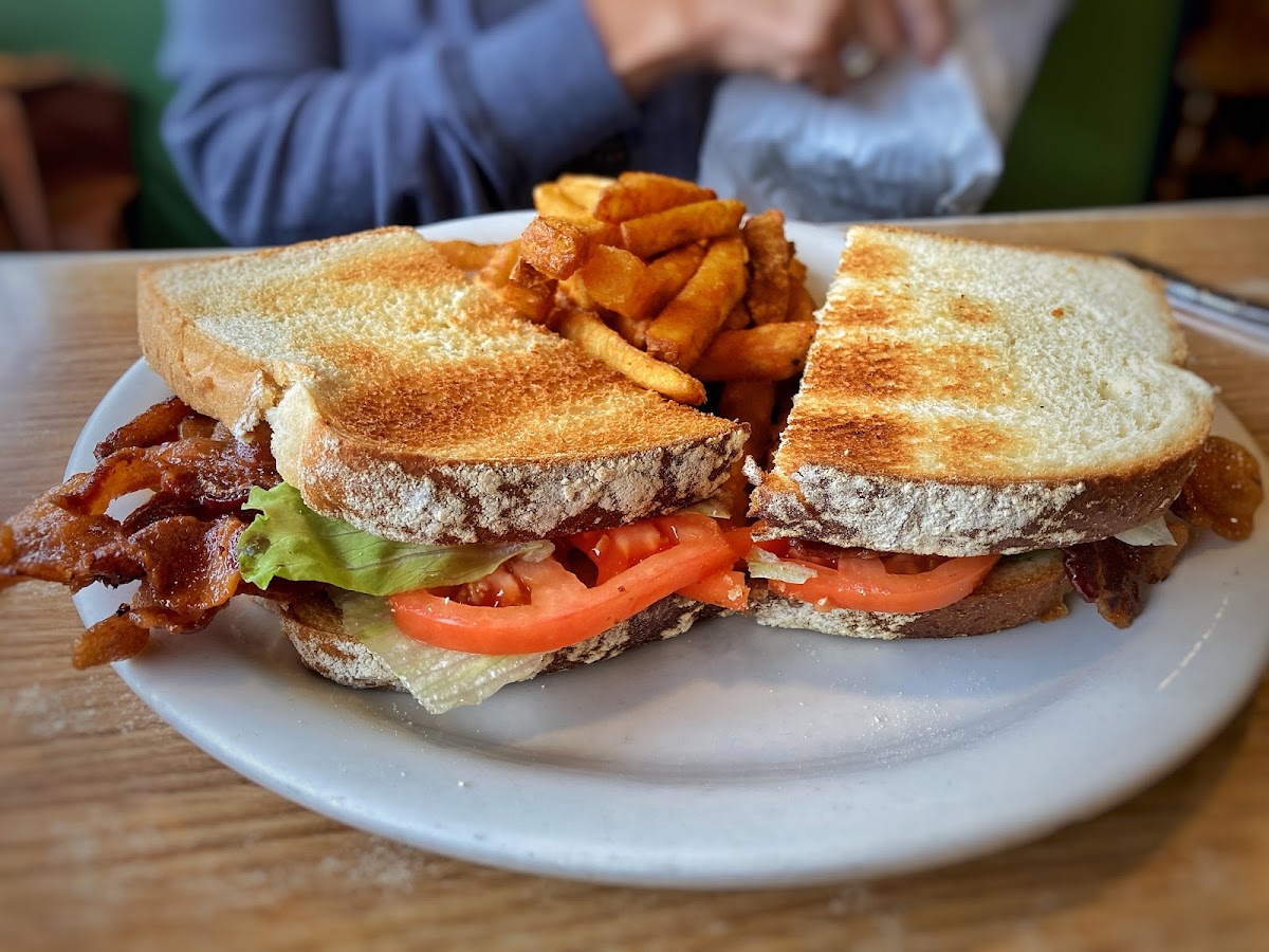 The Elm Street Eatery Photo 2