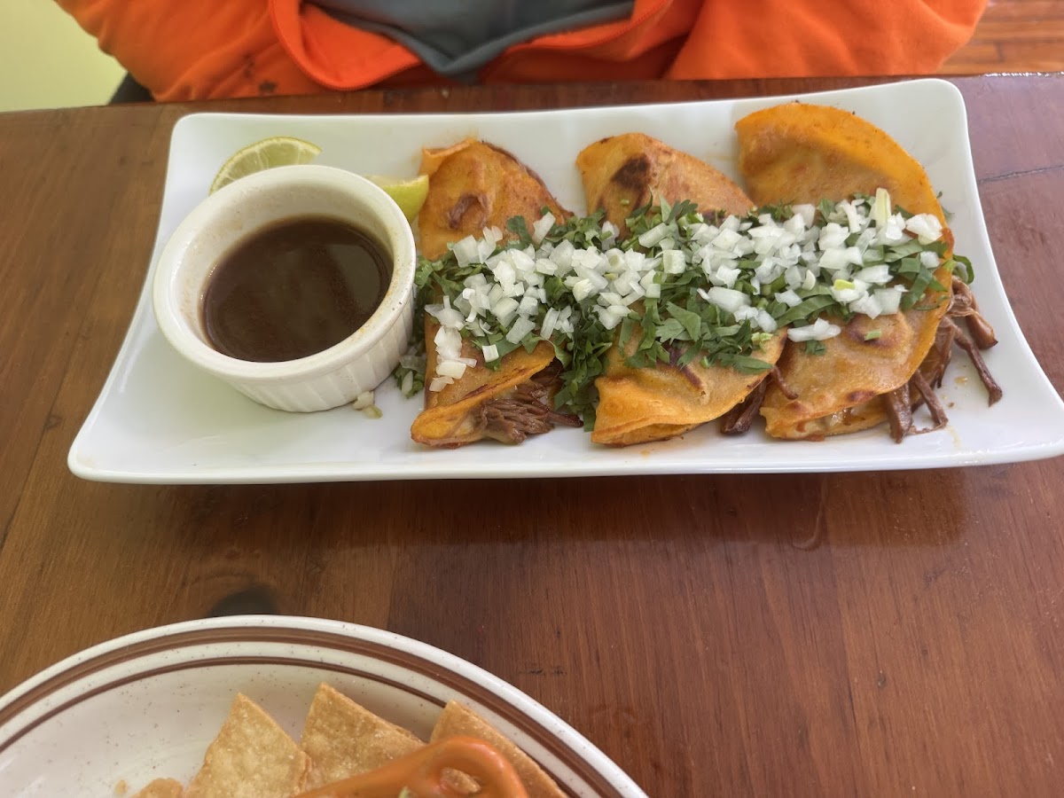 Agave y Maiz Photo 3