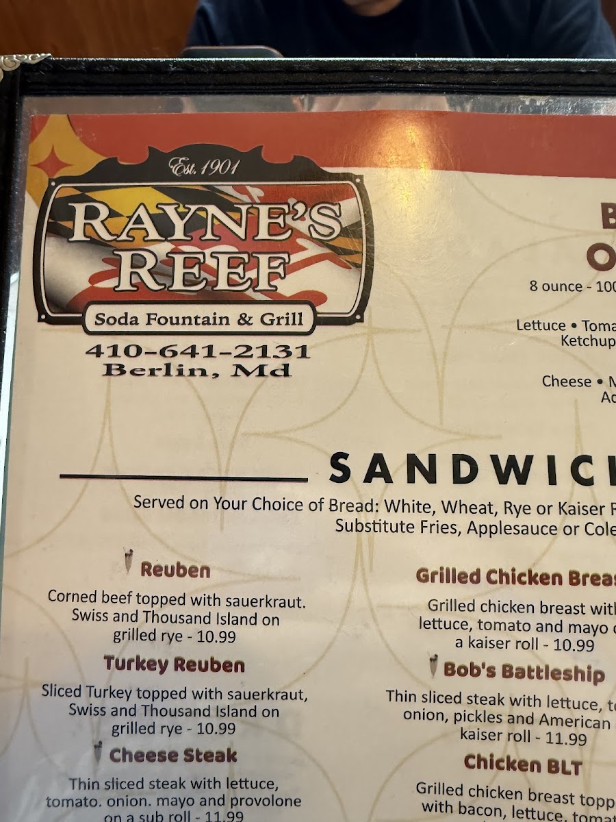 Rayne's Reef Soda Fountain & Grill Photo Menu 8