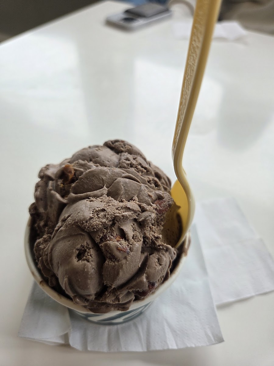 Clemmie’s Homemade Ice Cream Photo 4