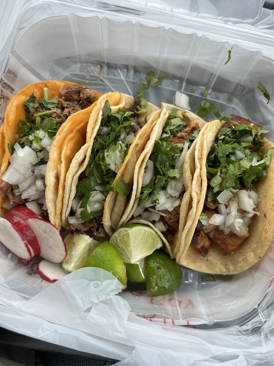Taqueria Floritas Photo 5