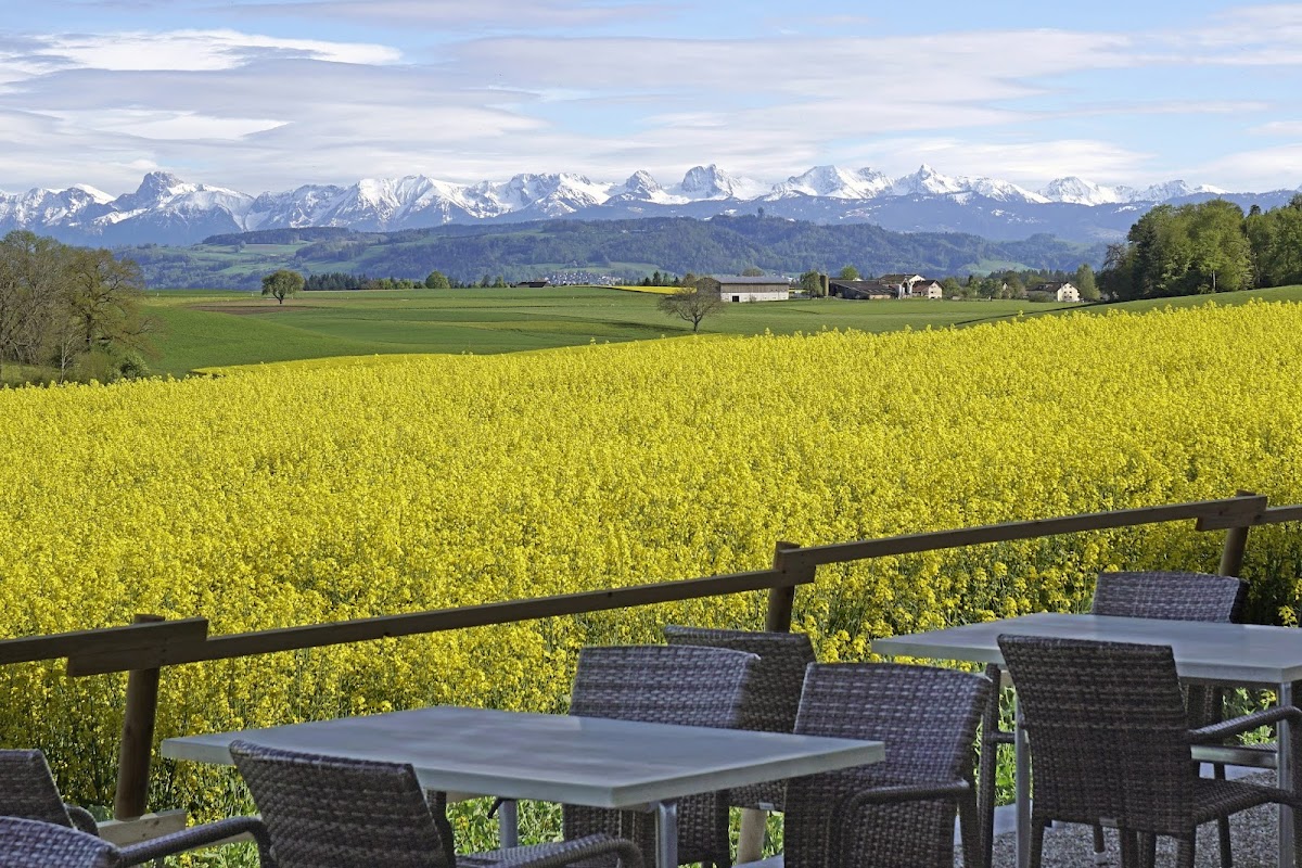 Restaurant Diemerswil Photo 3