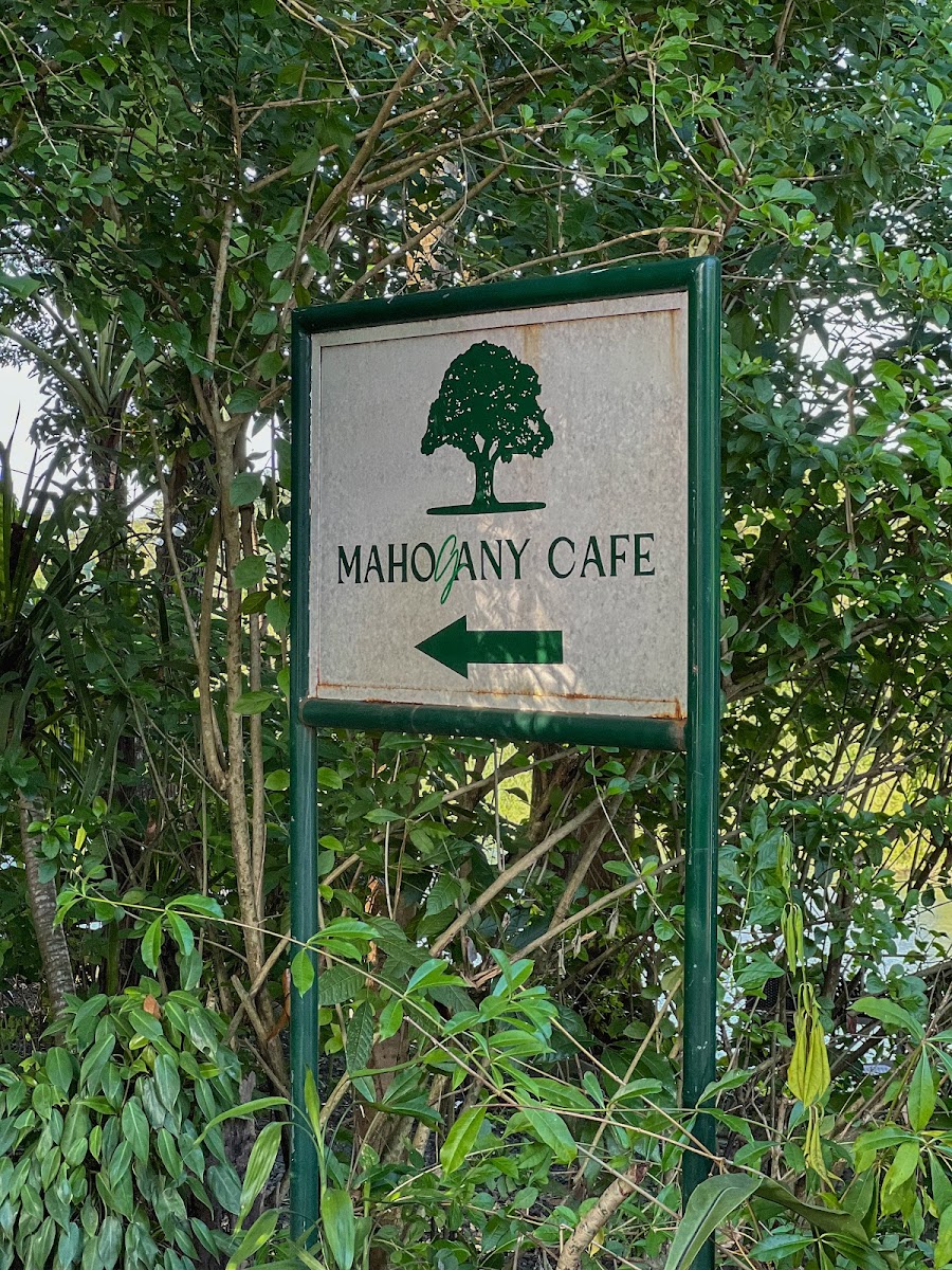Mahogany Cafe Photo 4
